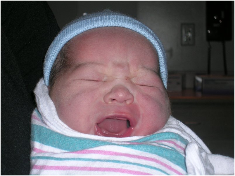 Nicholas Newborn 056